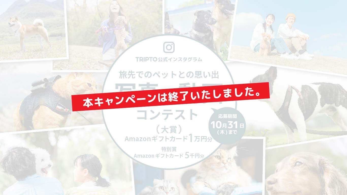 本キャンペーンは終了いたしました。【インスタグラム】旅先でのペットとの思い出写真・動画コンテストを実施中