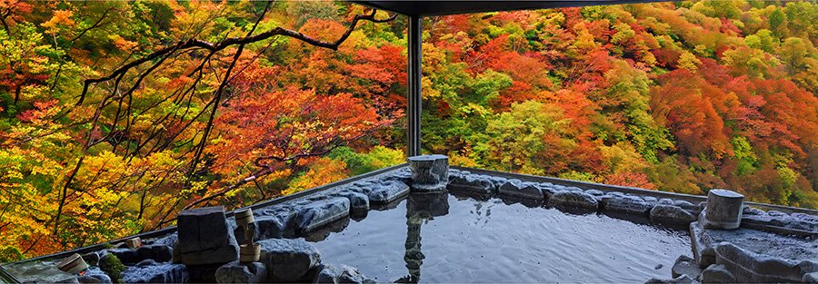 温泉を楽しむ