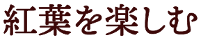 紅葉を楽しむ