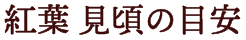 紅葉 見頃の目安