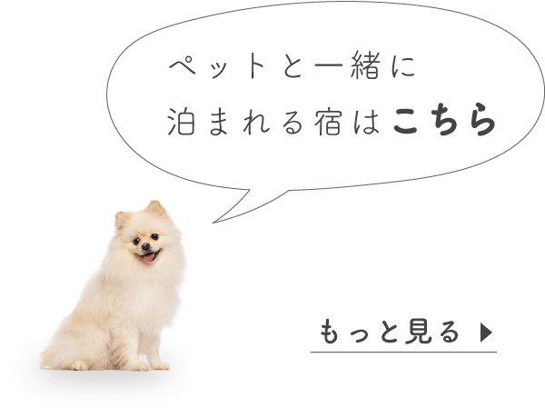 ペットと泊まれる施設をもっと見る