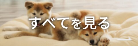すべてを見る