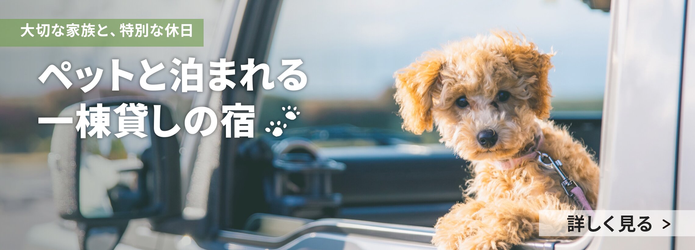 ペットと泊まれる一棟貸しの宿