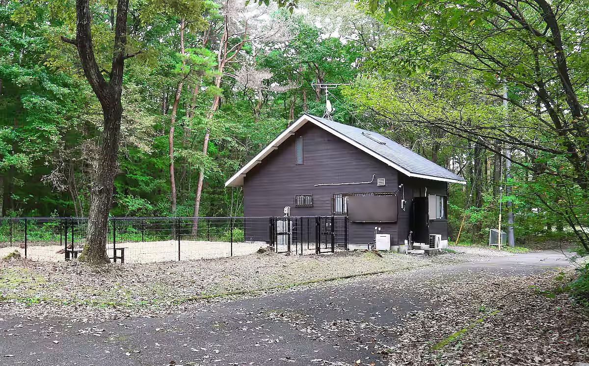  コテージ杏-image