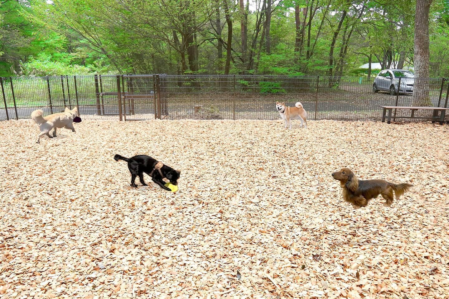  コテージ杏-image