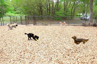  コテージ杏-image