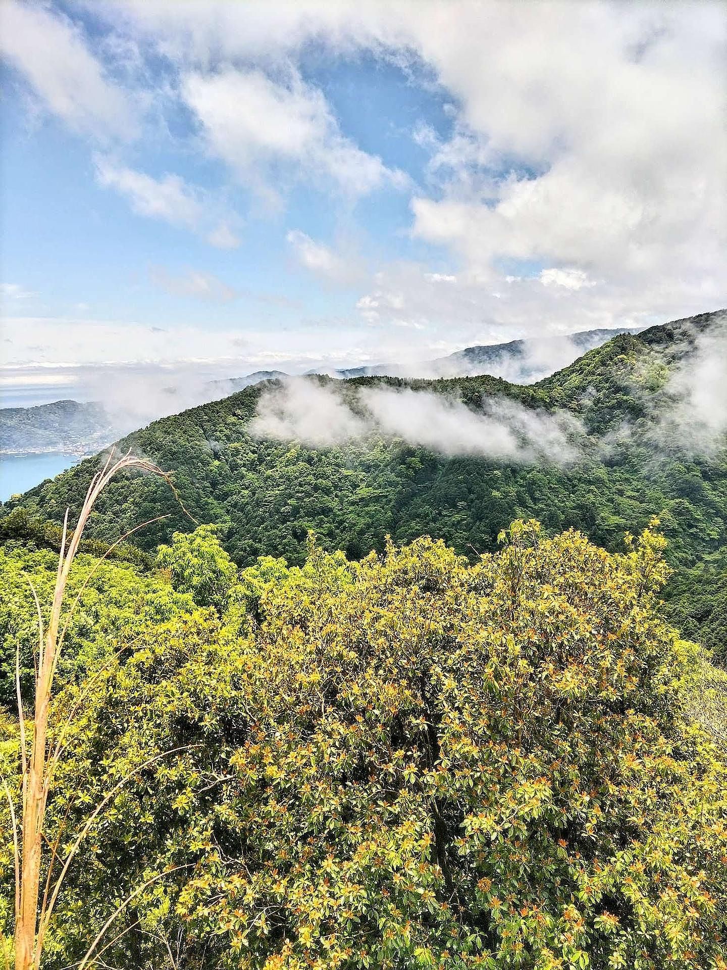 熱海フォルテ-image