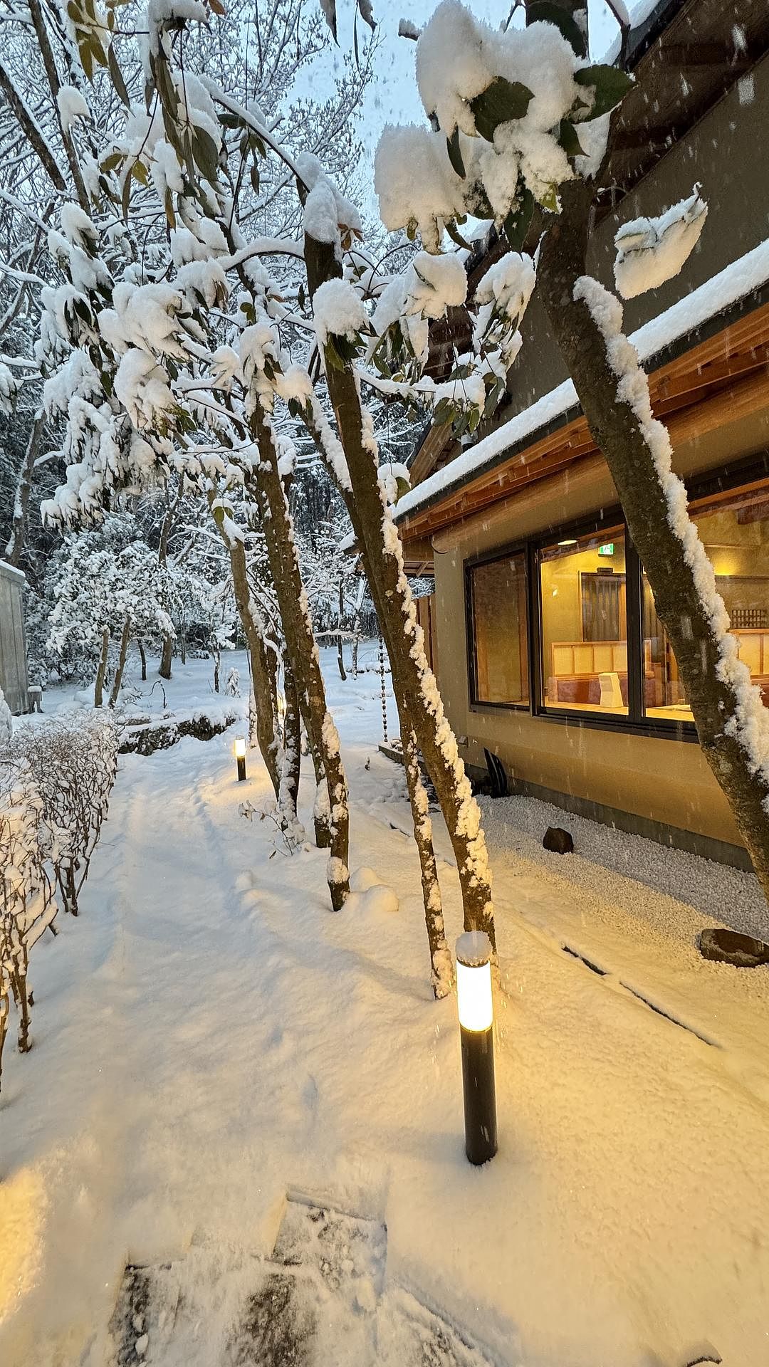 雅・仙石原　温泉旅館-image