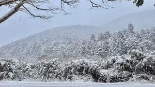 雅・仙石原 温泉旅館-image