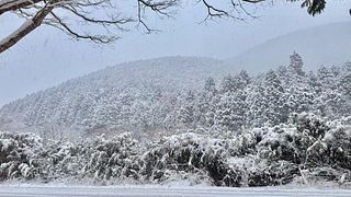 雅・仙石原　温泉旅館-image