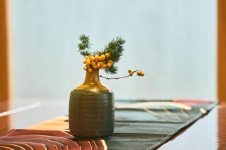 GOEN-image