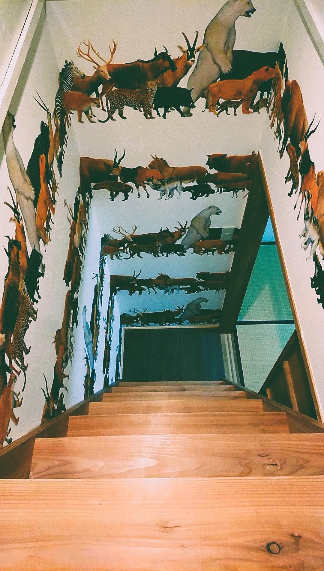 ひみつ部屋へつづく階段・・・