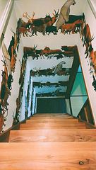 ひみつ部屋へつづく階段・・・