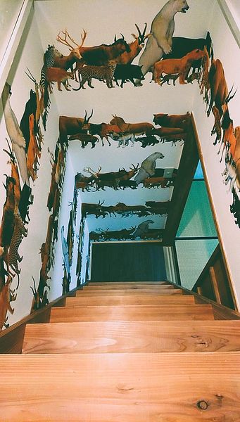 ひみつ部屋へつづく階段・・・