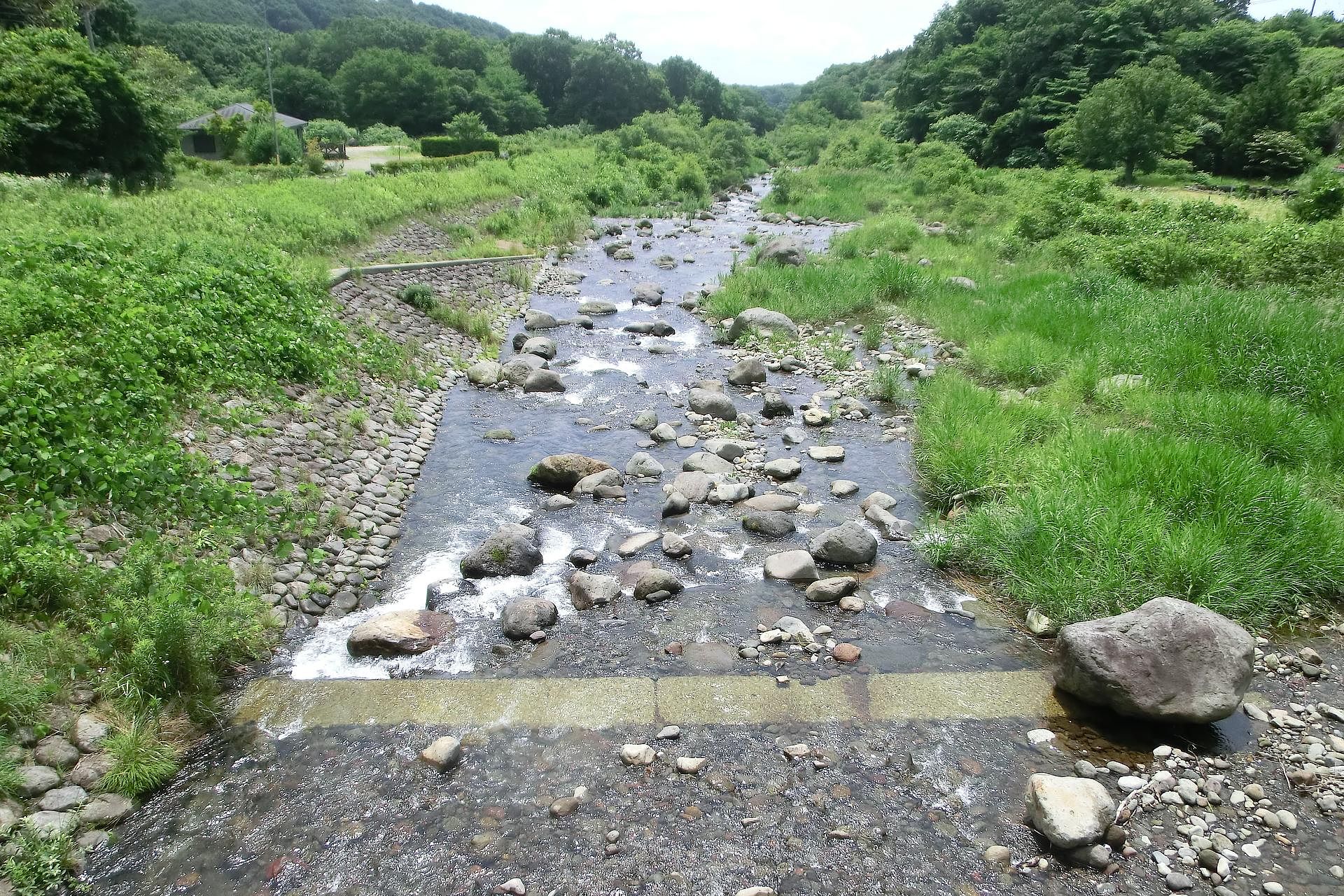 川遊びも楽しめるコテージ近くの清流