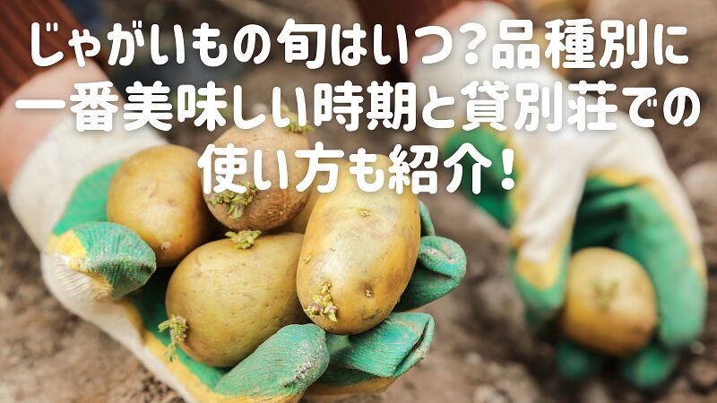 じゃがいもの旬はいつ？品種別に一番美味しい時期と貸別荘での使い方も紹介！