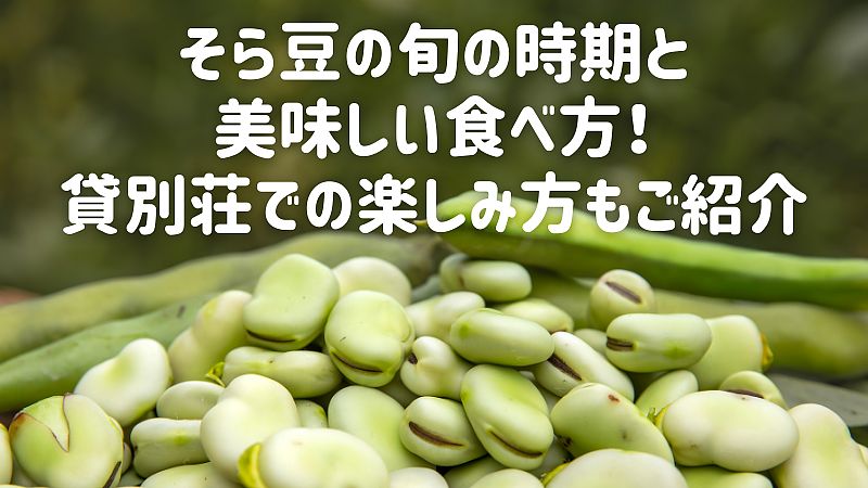 そら豆の旬の時期と美味しい食べ方!貸別荘での楽しみ方もご紹介