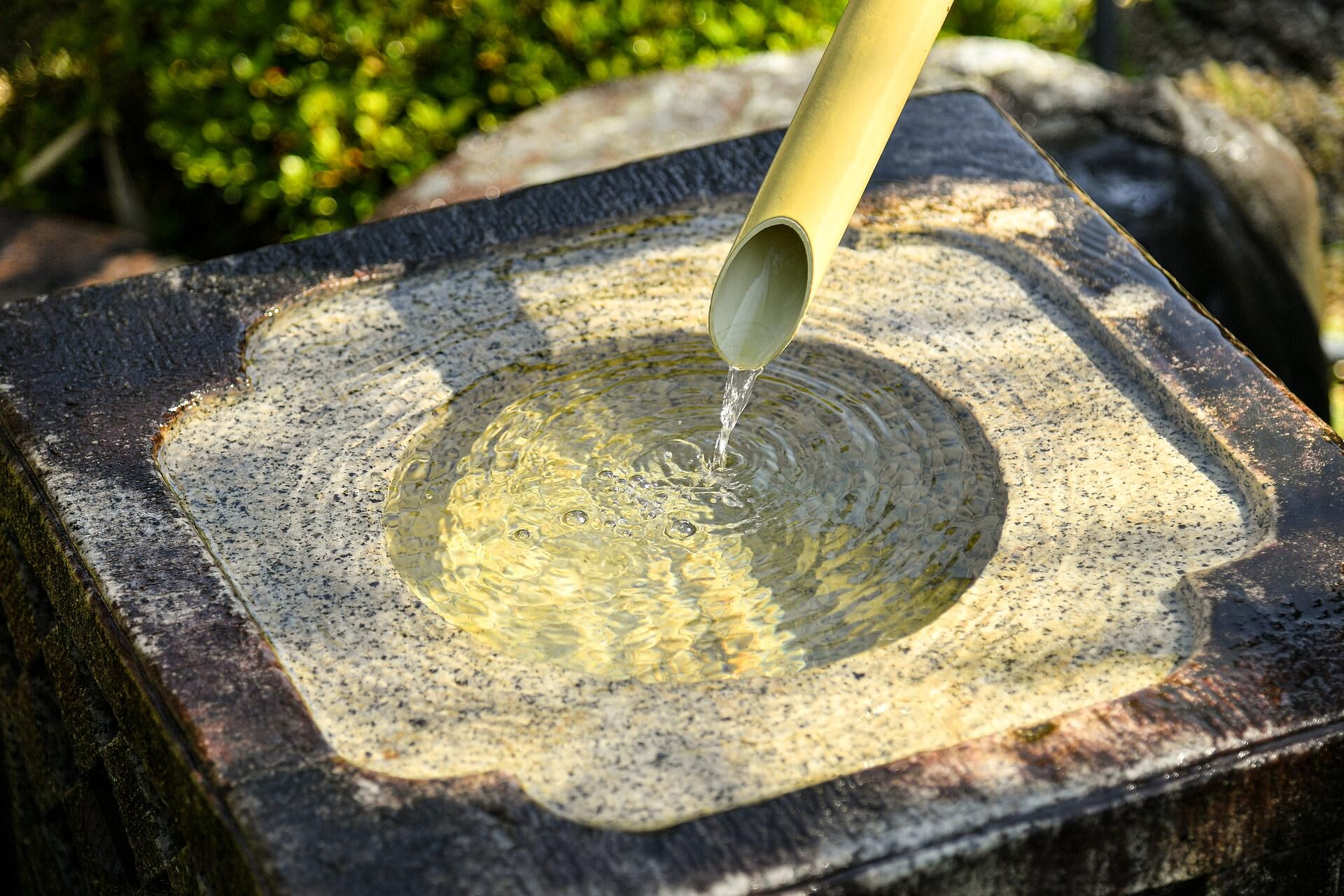志ろきや-image