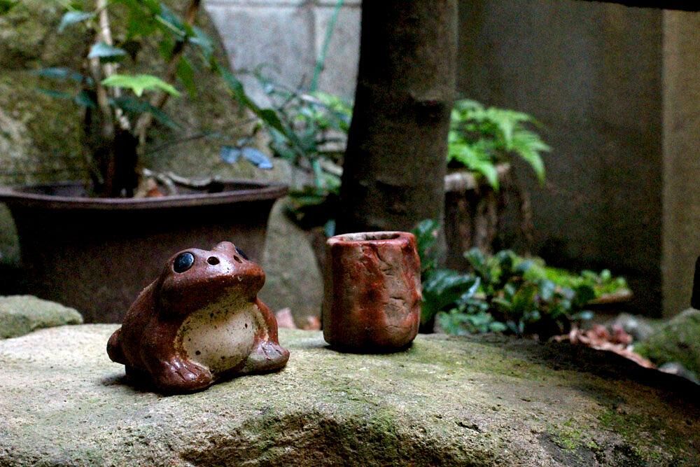 宿泊棟　中庭