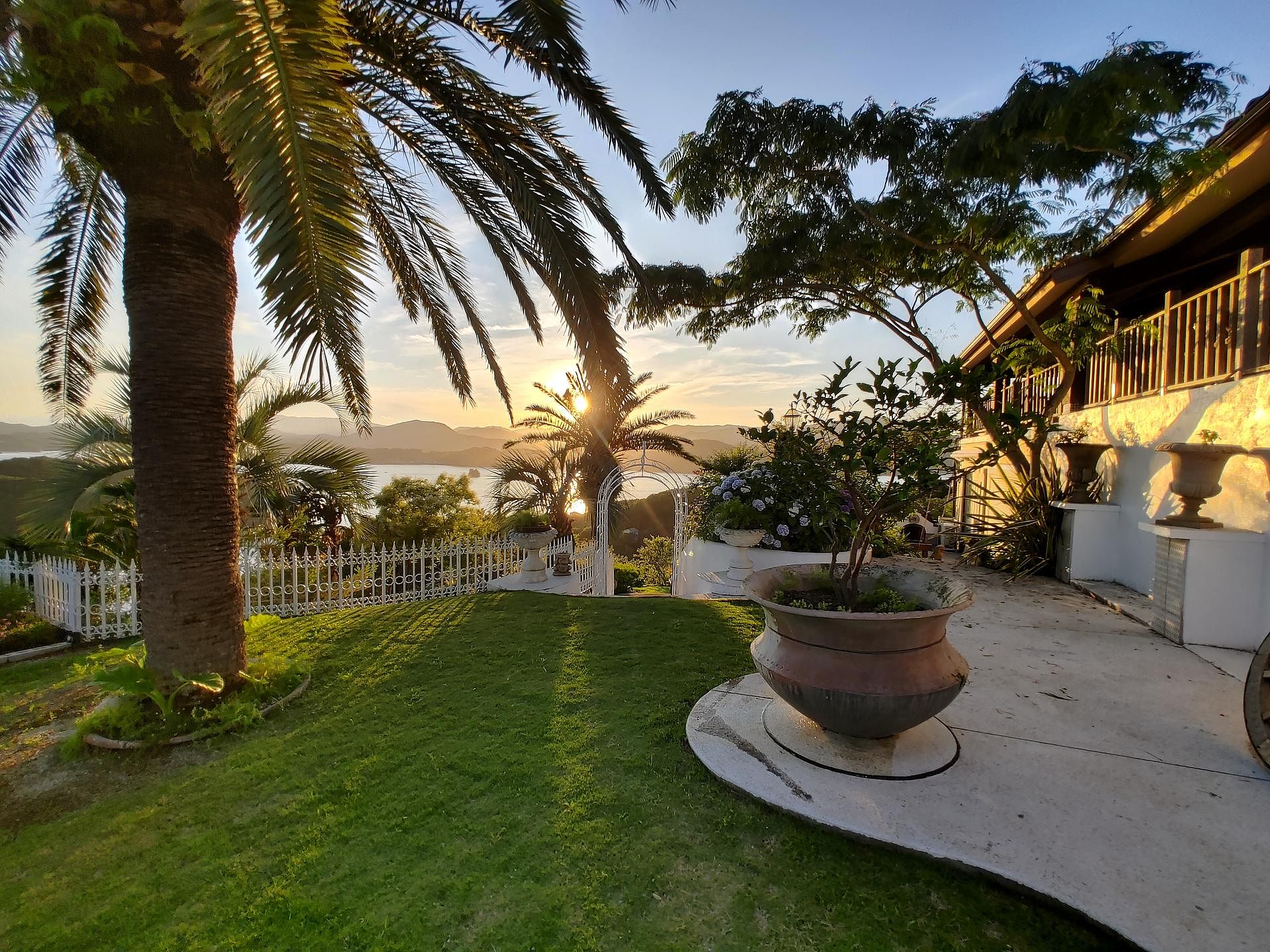 庭園からの眺め