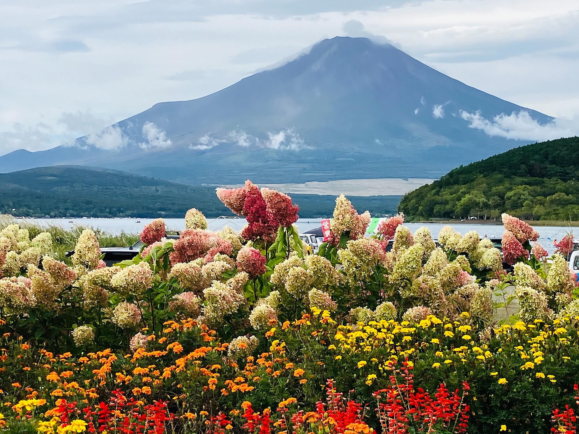 近隣　夏の富士山　８月