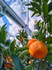 一棟貸し宿 凪nagi（2棟貸切）-image