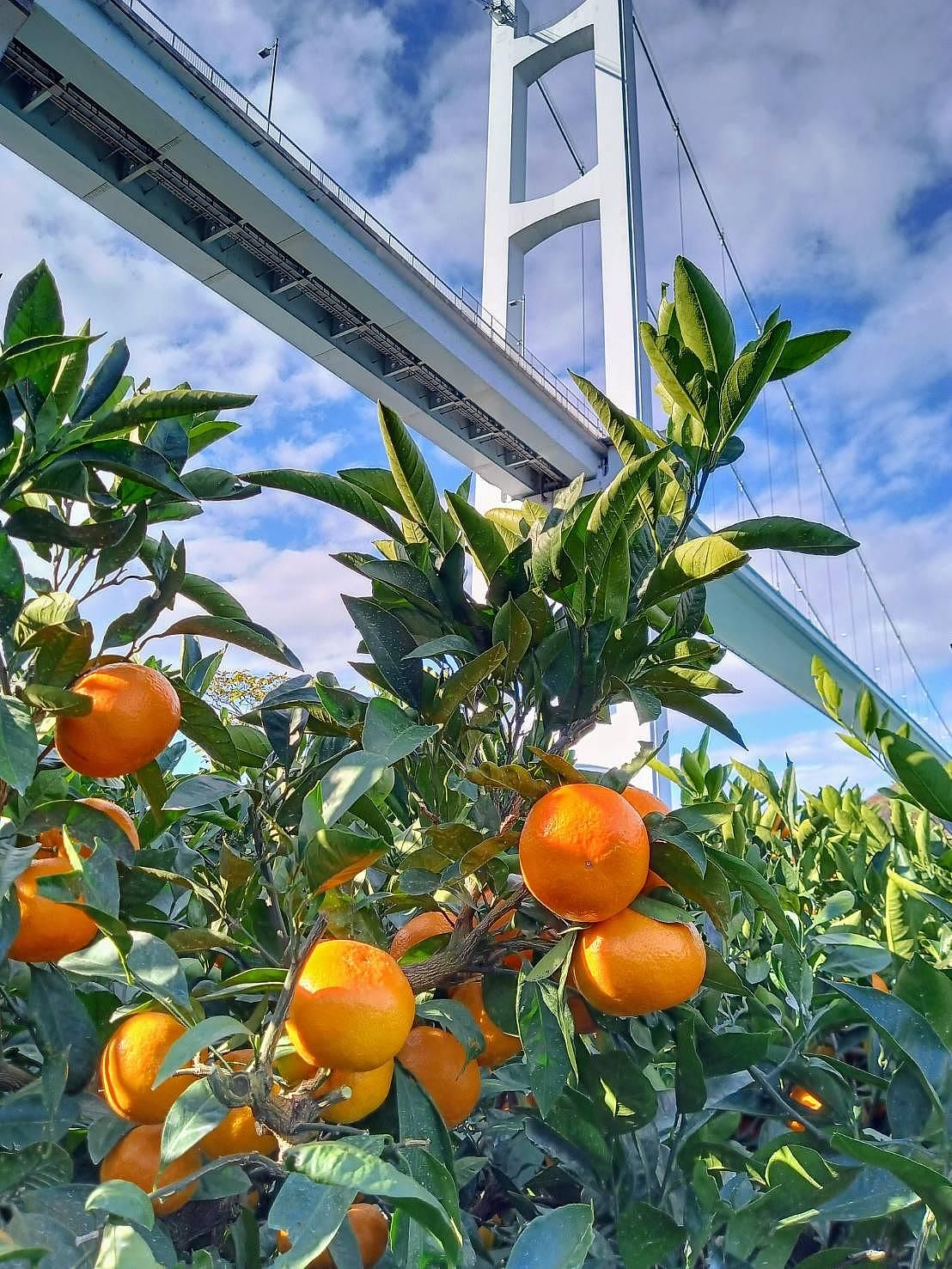 一棟貸し宿 凪nagi　A棟-image