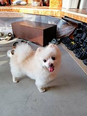 一棟貸し宿 凪nagi B棟-image