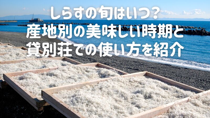 しらすの旬はいつ?産地別の美味しい時期と貸別荘での使い方を紹介