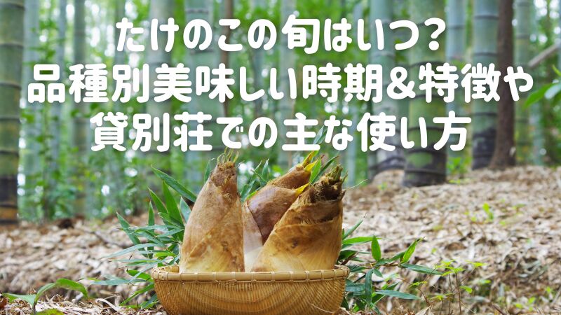 たけのこの旬はいつ?品種別美味しい時期&特徴や貸別荘での主な使い方