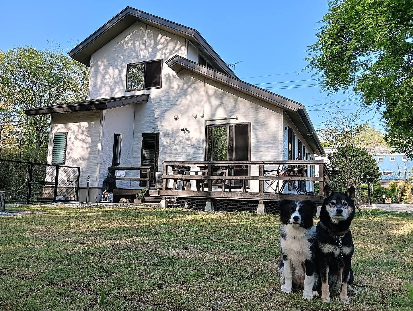 リビング直結　200㎡　プライベートドッグラン