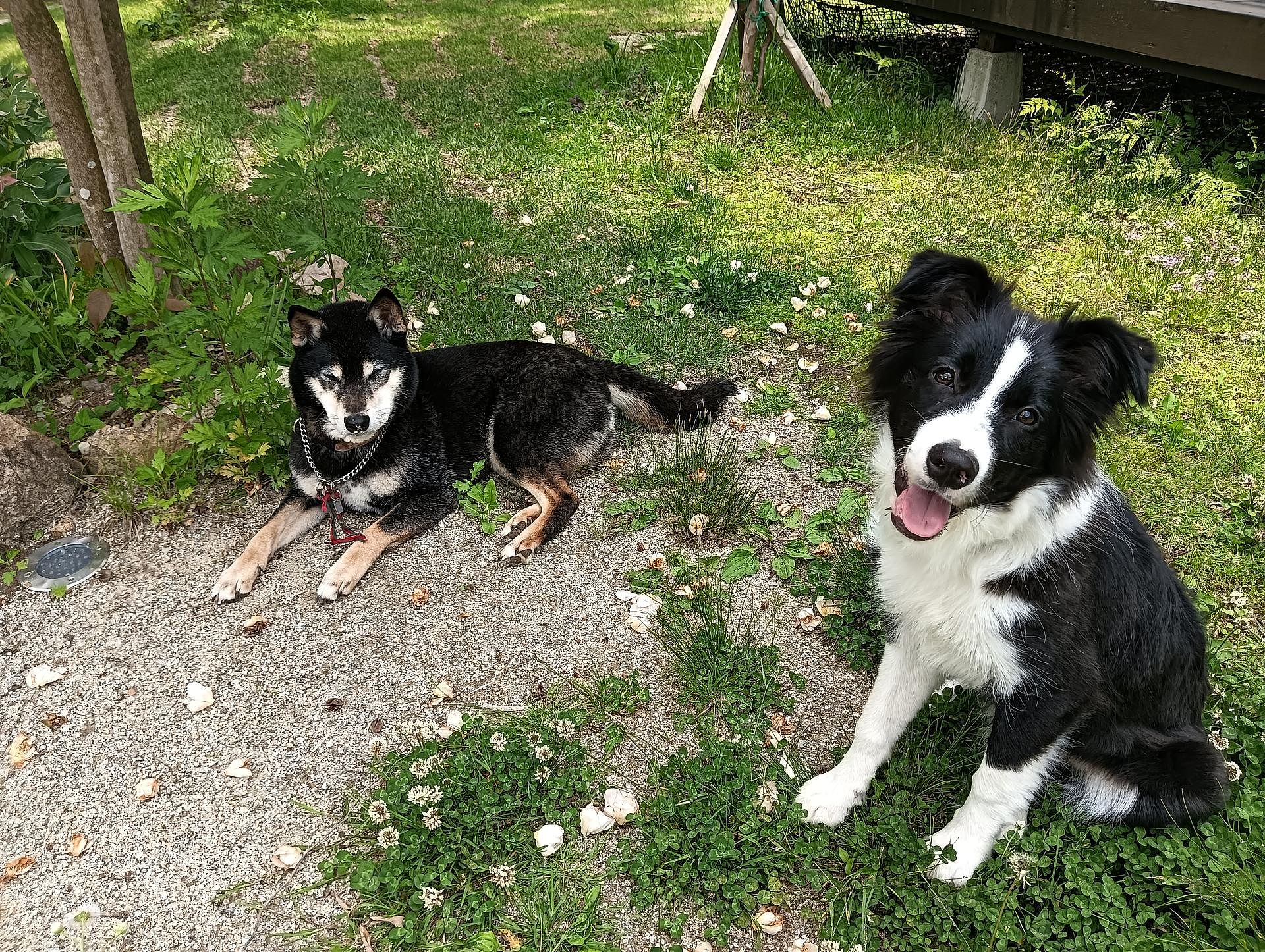 木陰でひとやすみ