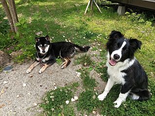 木陰でひとやすみ