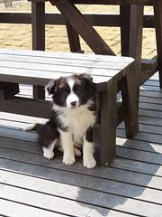 レンタルビラ ジャクモンティ-image