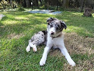 レンタルビラ ジャクモンティ-image