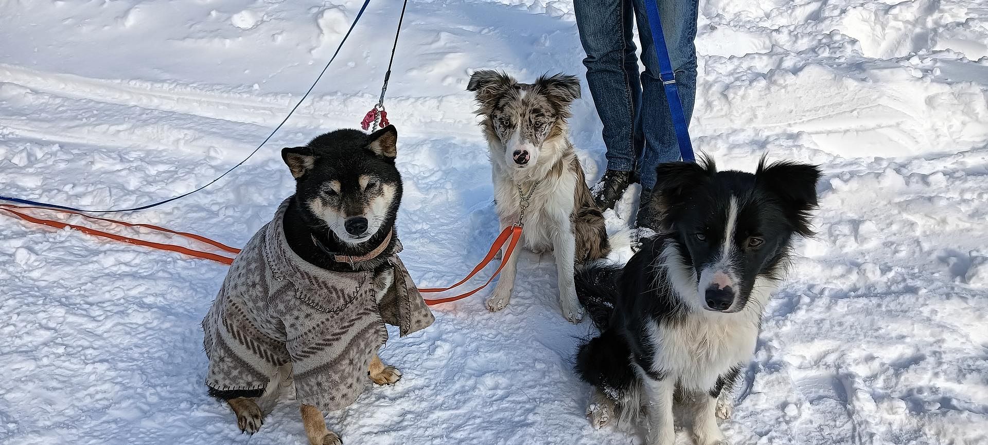 レンタルビラ ジャクモンティ-image