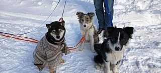 レンタルビラ ジャクモンティ-image