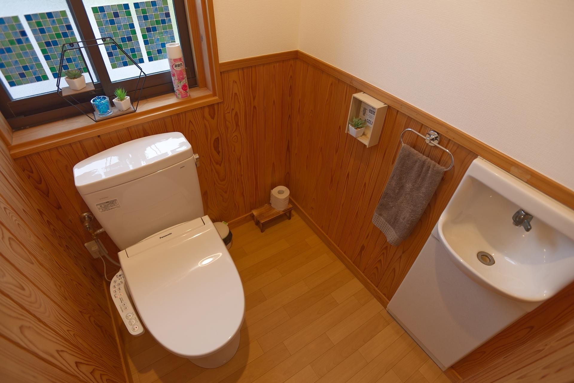 Ocean villa mint-image