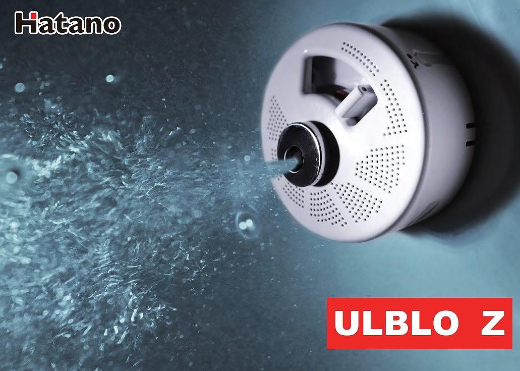 Ocean villa mint-image