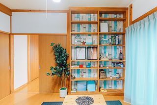 Ocean villa mint-image