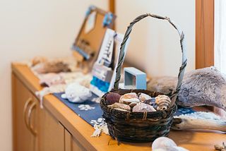 Ocean villa mint-image