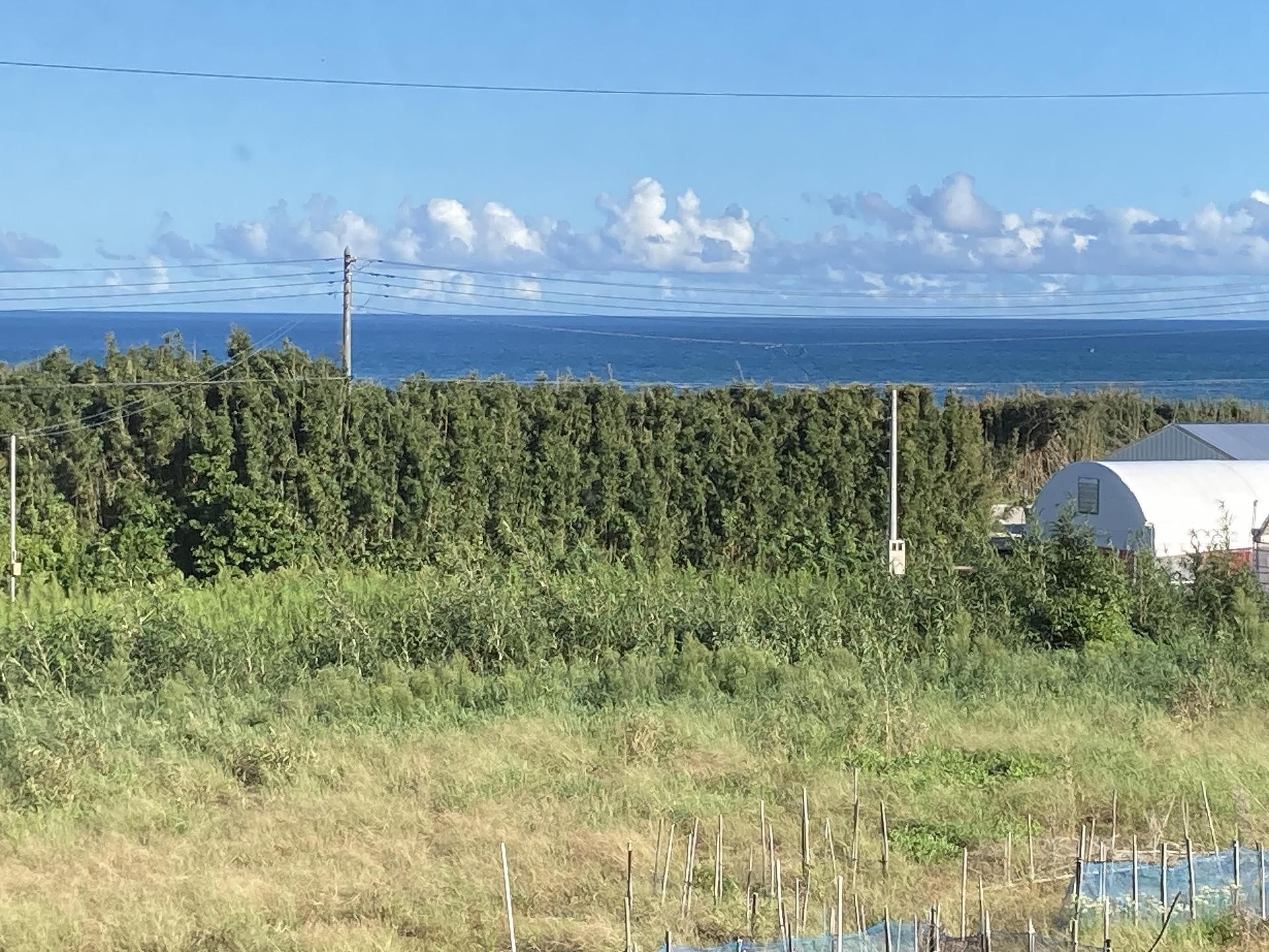 Ocean villa mint-image