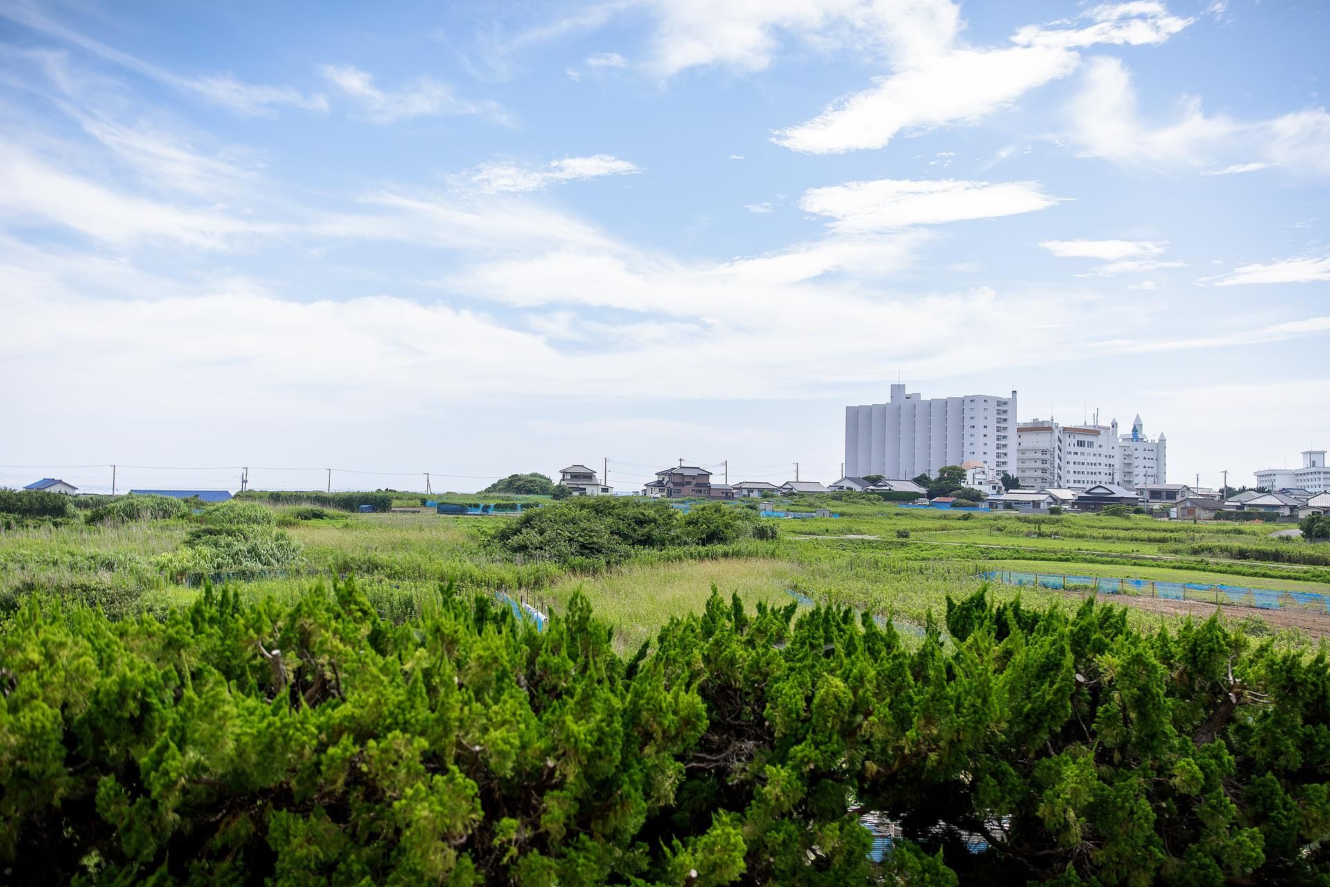 ocean resort mint-image