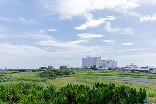 ocean resort mint-image