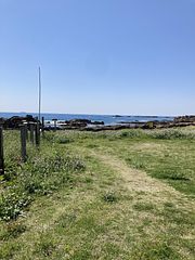 ocean resort mint-image