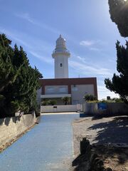 ocean resort mint-image
