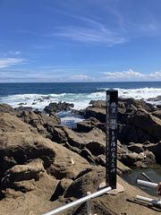 ocean resort mint-image