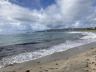 ocean view mint-image