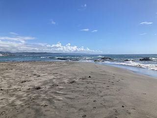 ocean view mint-image