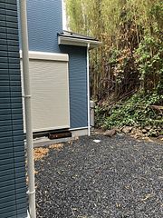 ocean kids mint-image